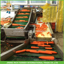 Китайский поставщик и экспортер свежей моркови 200-250г Размер L